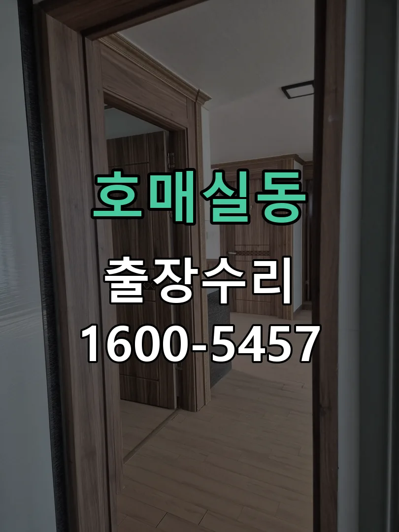 호매실동 잠금장치 동작 확인