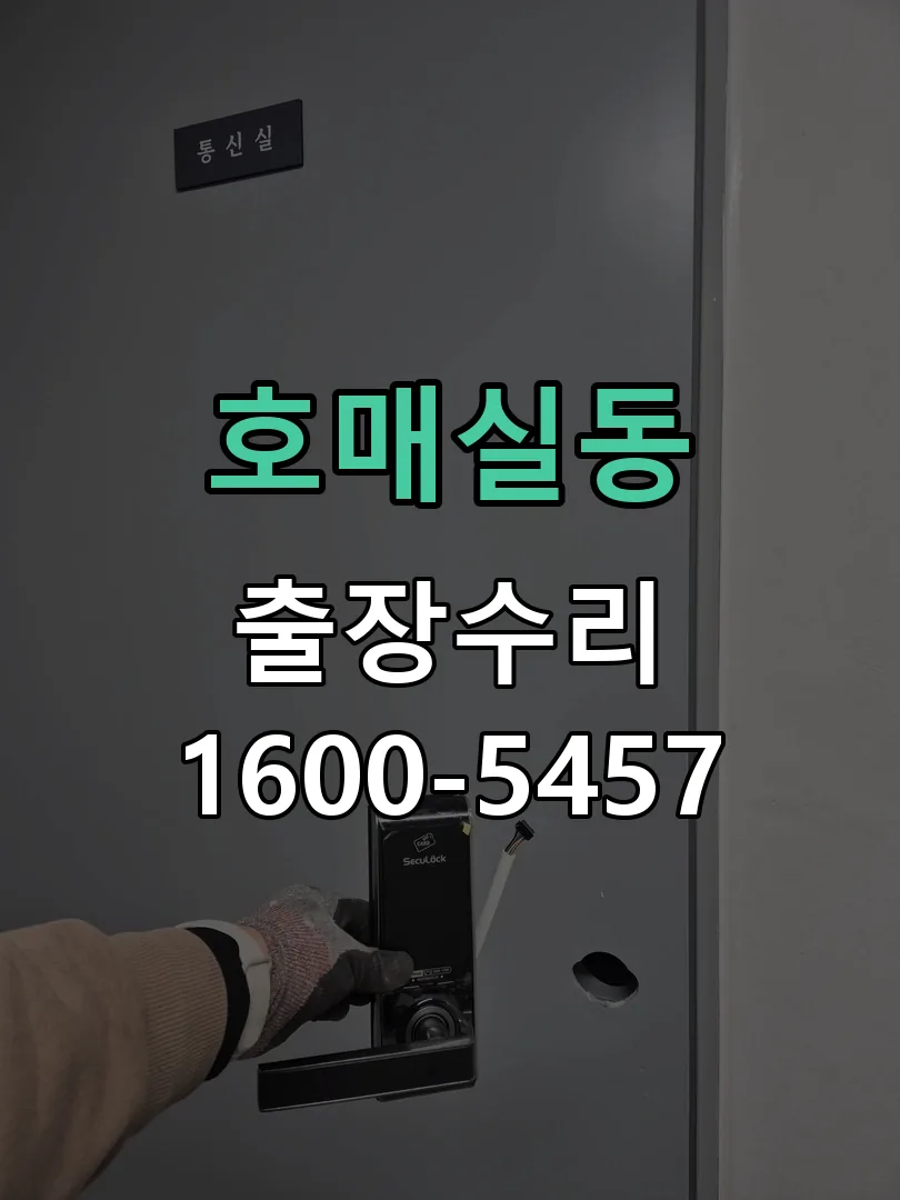 호매실동 배선·접점 정리