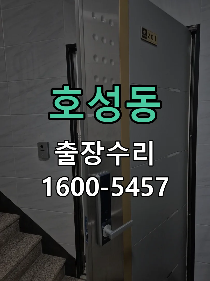 호성동 배선·접점 정리