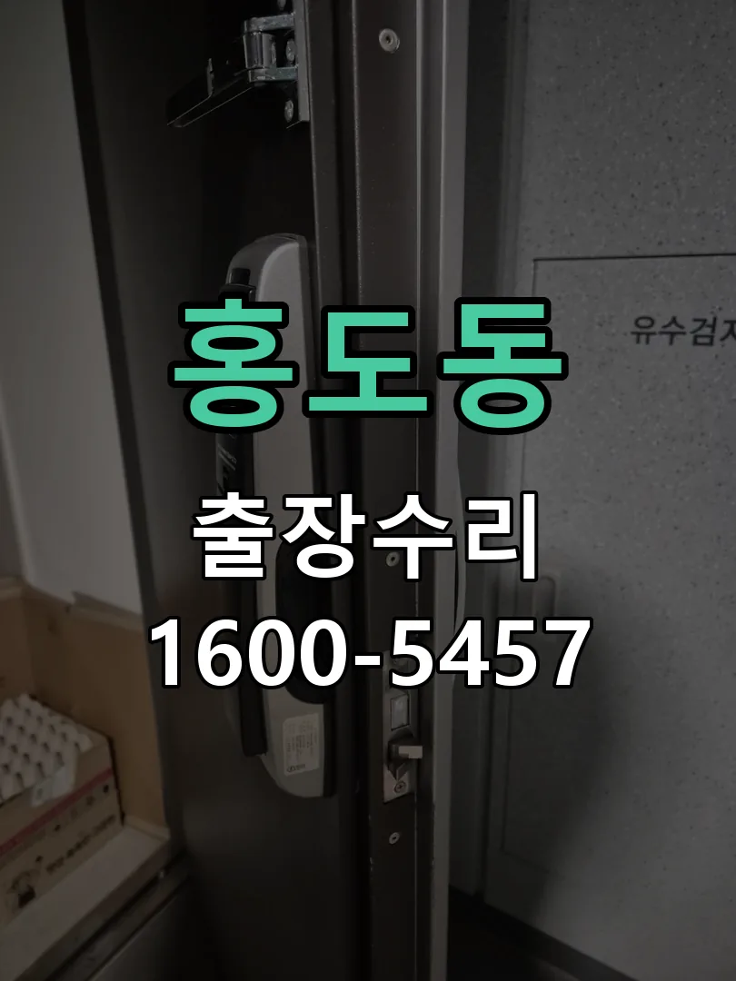 홍도동 잠금장치 동작 확인