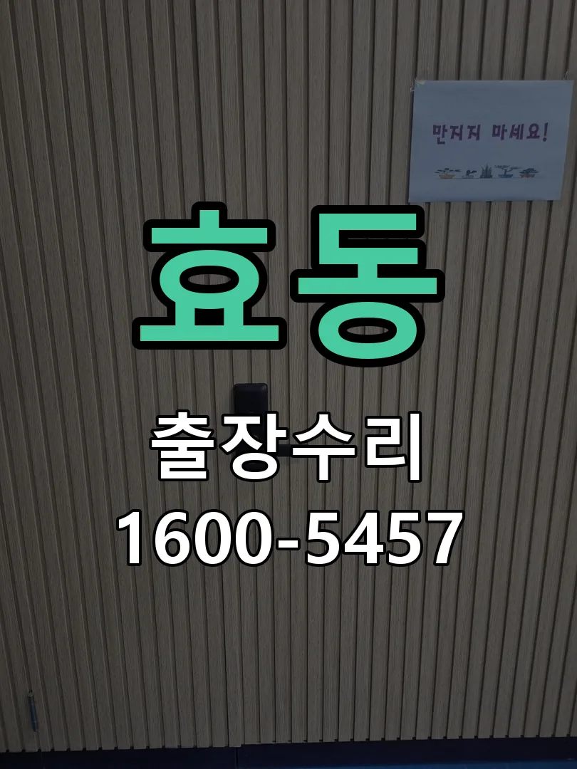 효동 현장 도착 후 상태 확인