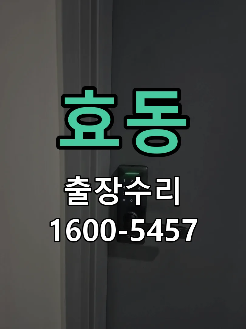 효동 잠금장치 동작 확인