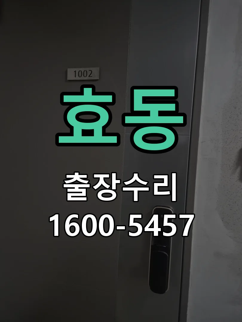 효동 배선·접점 정리